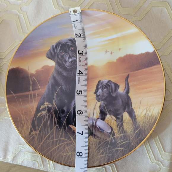 Bundle of 2 decorative collector dog plates - Pointer and Lab - Picture 4 of 8
